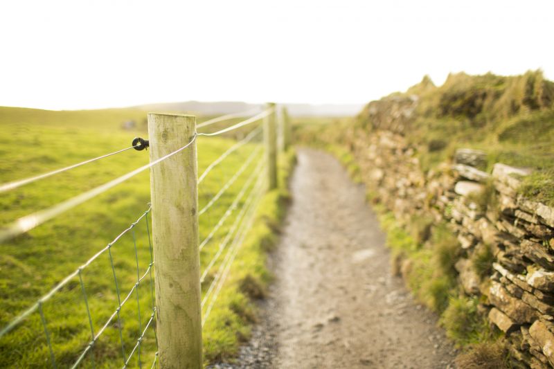 Stone Fence