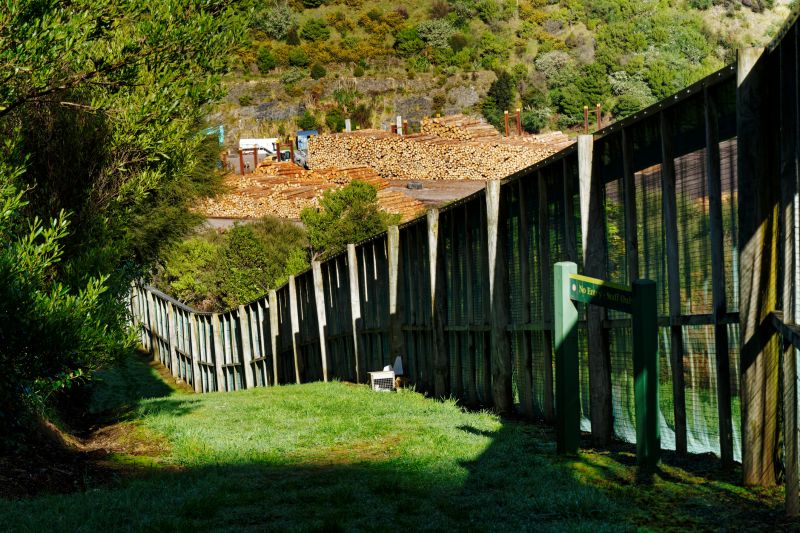 Living Fence