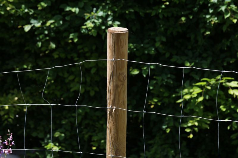 Wire Fencing Service